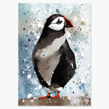 Puffin - Scottish Animal Collection