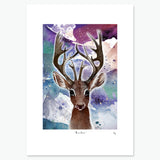 Roe Deer - Scottish Animal Collection