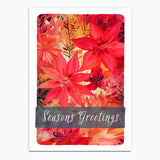 Season's Greetings Foliage Cards - mixed pack