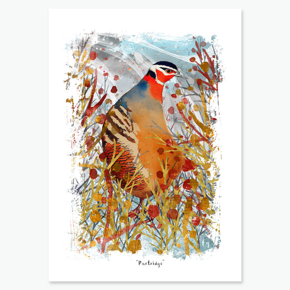 Partridge - Christmas Card