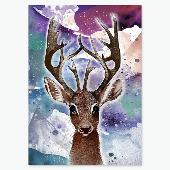 Roe Deer - Scottish Animal Collection