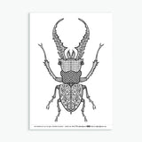 Wee Beasties #1 - 8 Insect Colouring Sheets