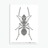 Wee Beasties #1 - 8 Insect Colouring Sheets