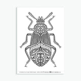 Wee Beasties #1 - 8 Insect Colouring Sheets