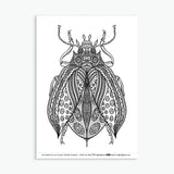 Wee Beasties #1 - 8 Insect Colouring Sheets