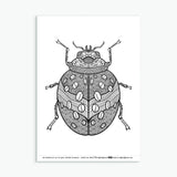 Wee Beasties #1 - 8 Insect Colouring Sheets