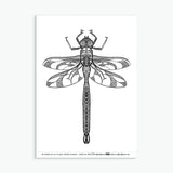 Wee Beasties #1 - 8 Insect Colouring Sheets