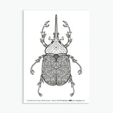 Wee Beasties #1 - 8 Insect Colouring Sheets