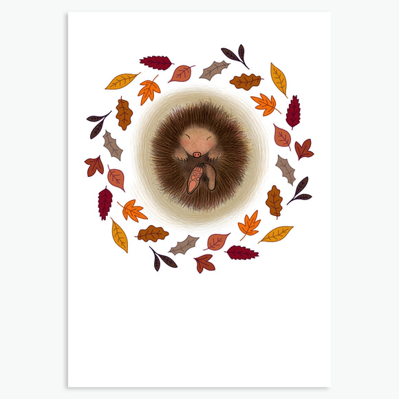 Hibernating Hedgehog, Art Print
