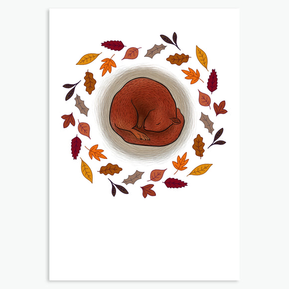 Hibernating Squirrel, Art Print